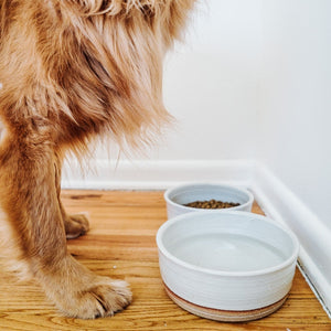 Hanselmann Pottery Dog Bowls, Nesting