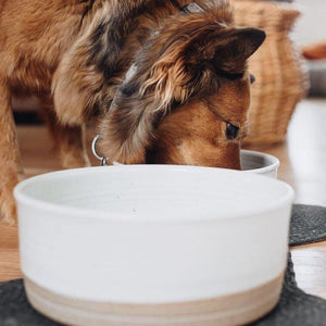 Hanselmann Pottery Dog Bowls, Nesting